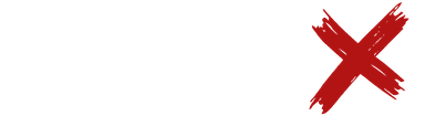 VINNIT-X